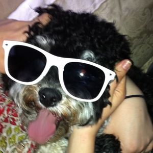 Meet your Posher, Michelle